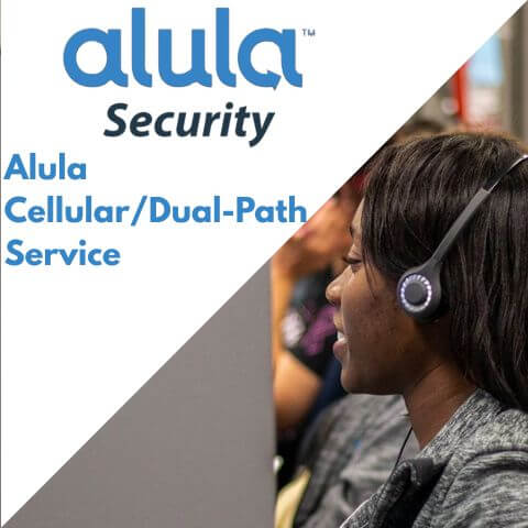 Annual Alula Dual-Path Central Station Monitoring
