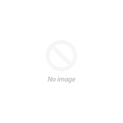 DSC Maxsys 4020
